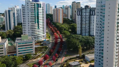 Curitiba e o Desenvolvimento Sustentável